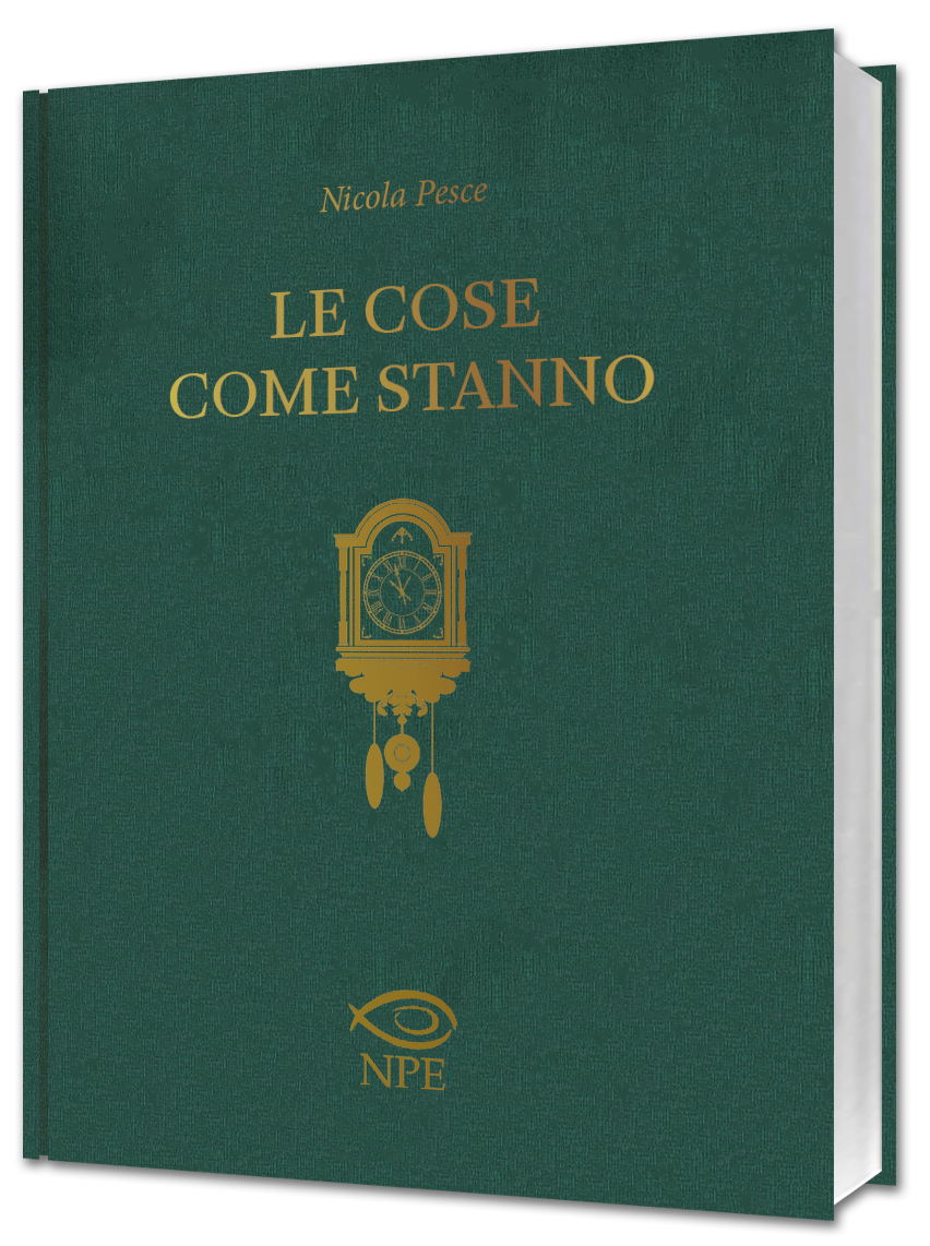 Himself Le cose come stanno fumetto brossurato NPE
