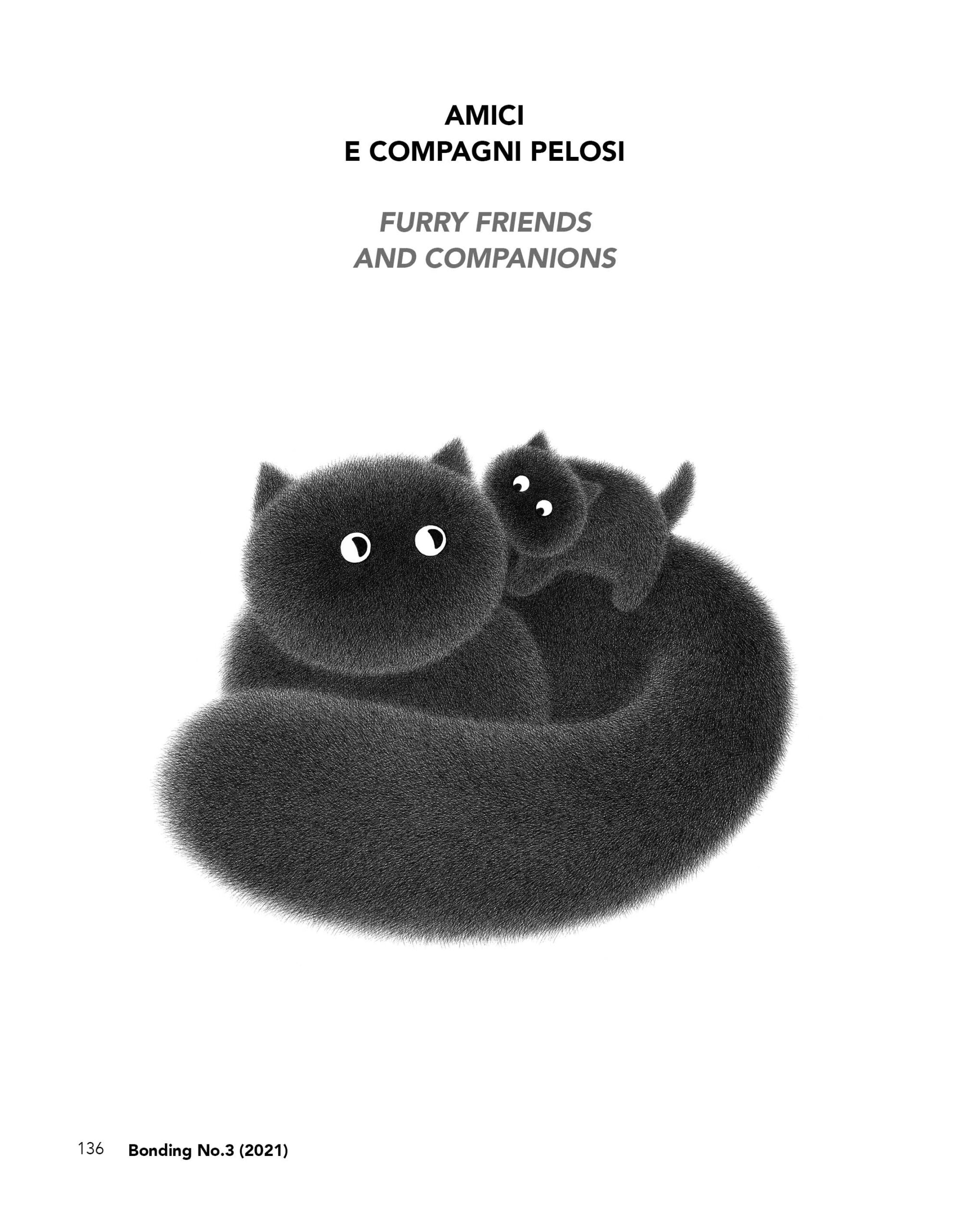 BeccoGiallo Fuori collana The Furry Thing graphic novel cartonato