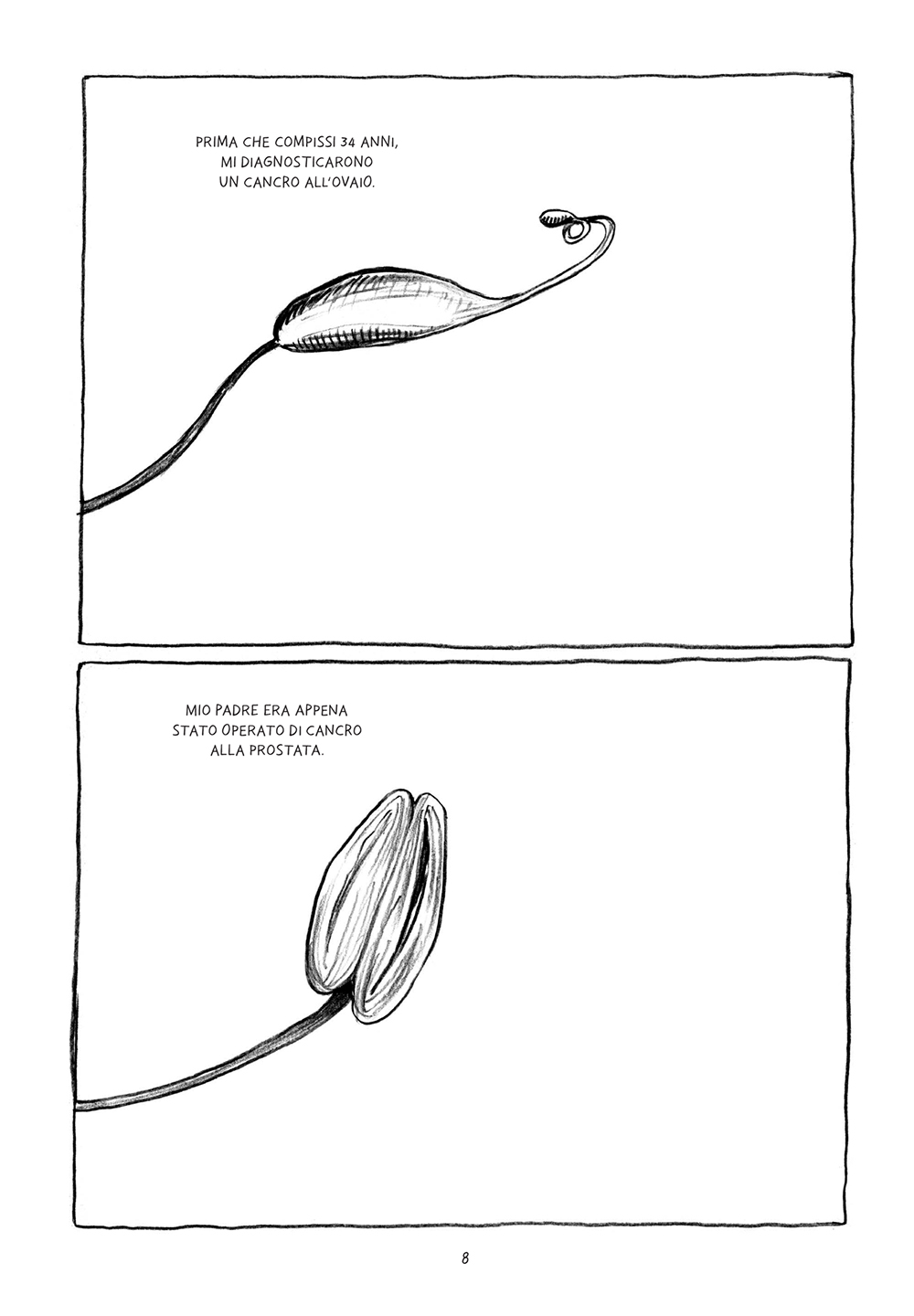BeccoGiallo Graphic Journalism Non è questo il giorno fumetto 240 pp