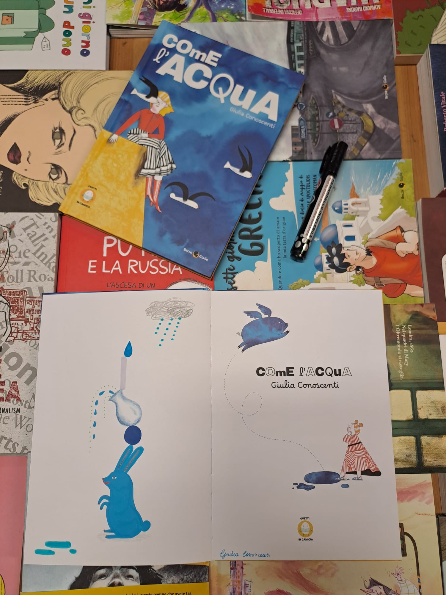 BeccoGiallo Come l’acqua Giulia Conoscenti albo cartonato 72 pp