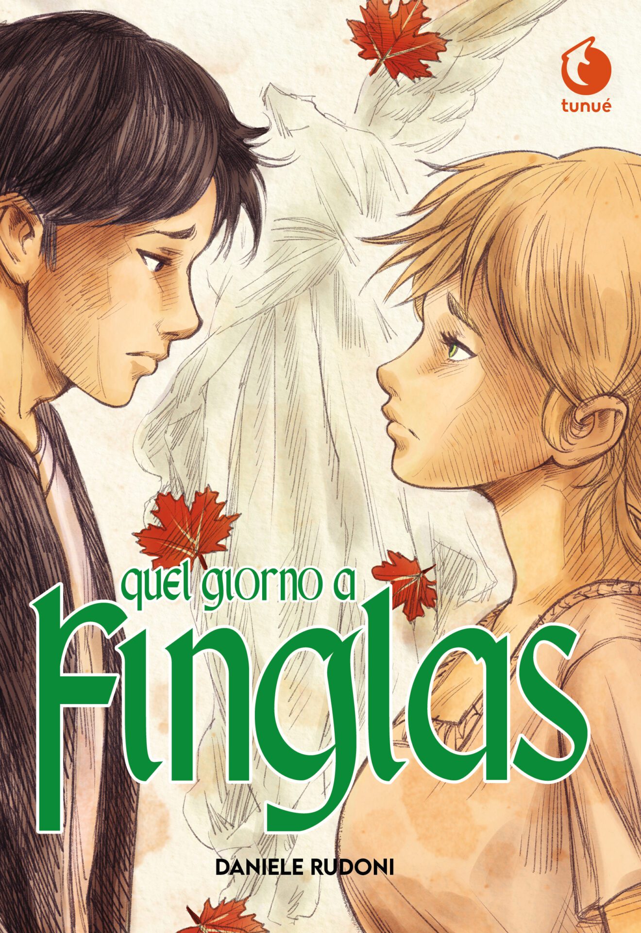 Tunuè Quel Giorno a Finglas fumetto young adult amore
