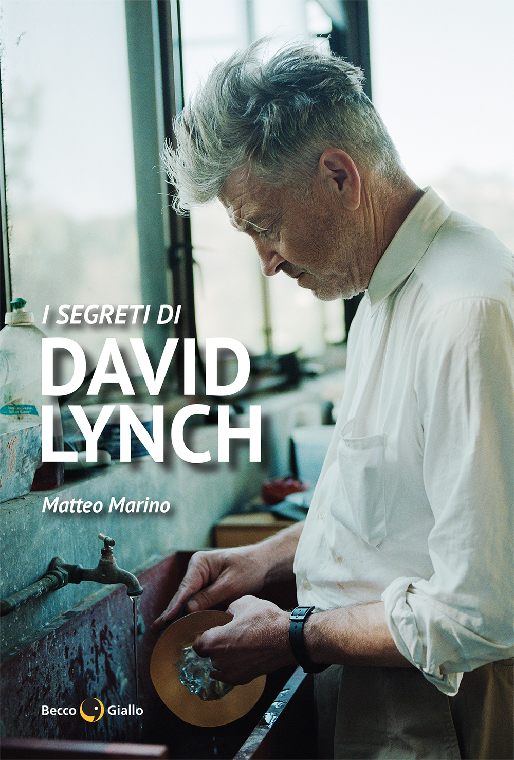 BeccoGiallo I miei primi dizionari I segreti di David Lynch Libro 384 pp