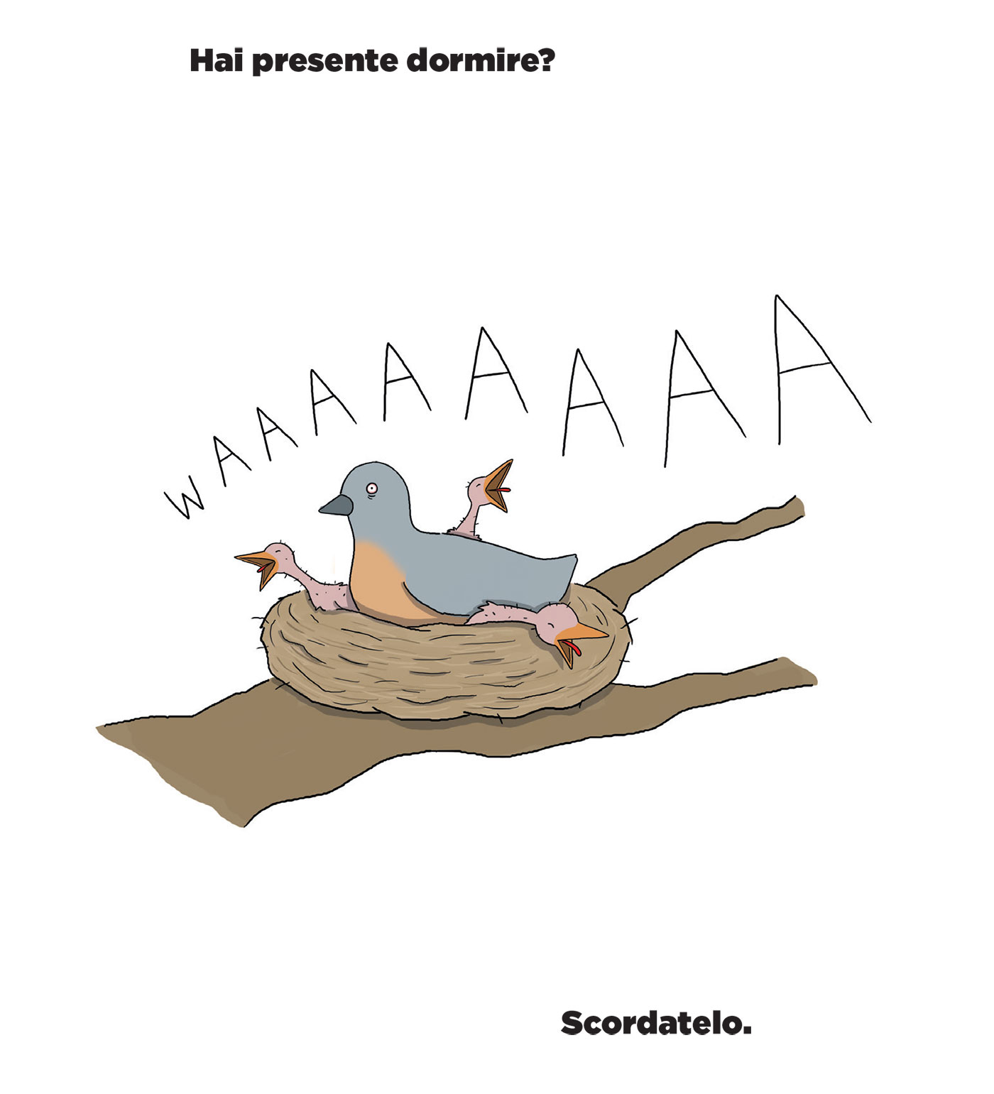 BeccoGiallo Webcomics Mamma! fumetto cartonato 128 pagine