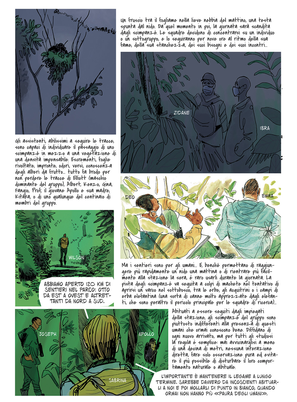 BeccoGiallo Fuori collana Scimmie fumetto brossura 188 pp
