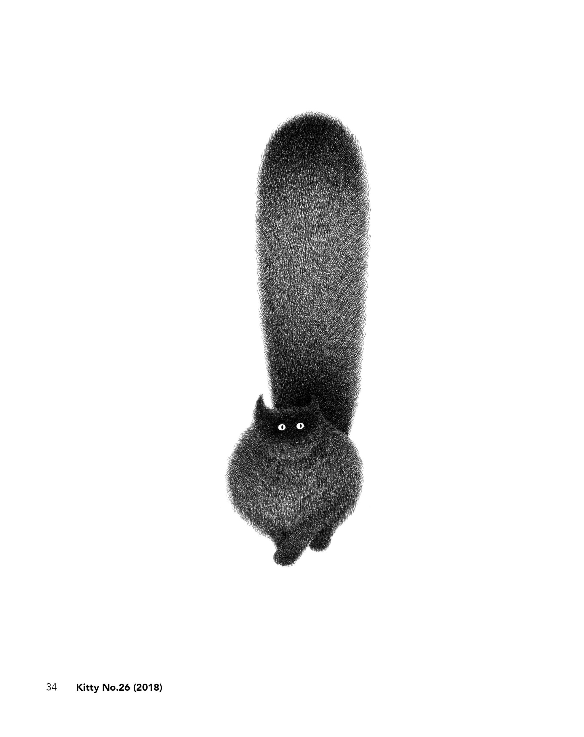 BeccoGiallo Fuori collana The Furry Thing graphic novel cartonato