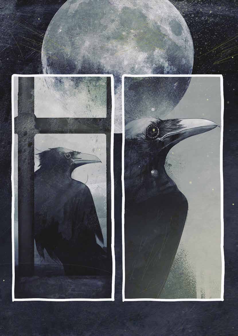 Nicola Pesce Altro The Black Cat libro brossurato horror