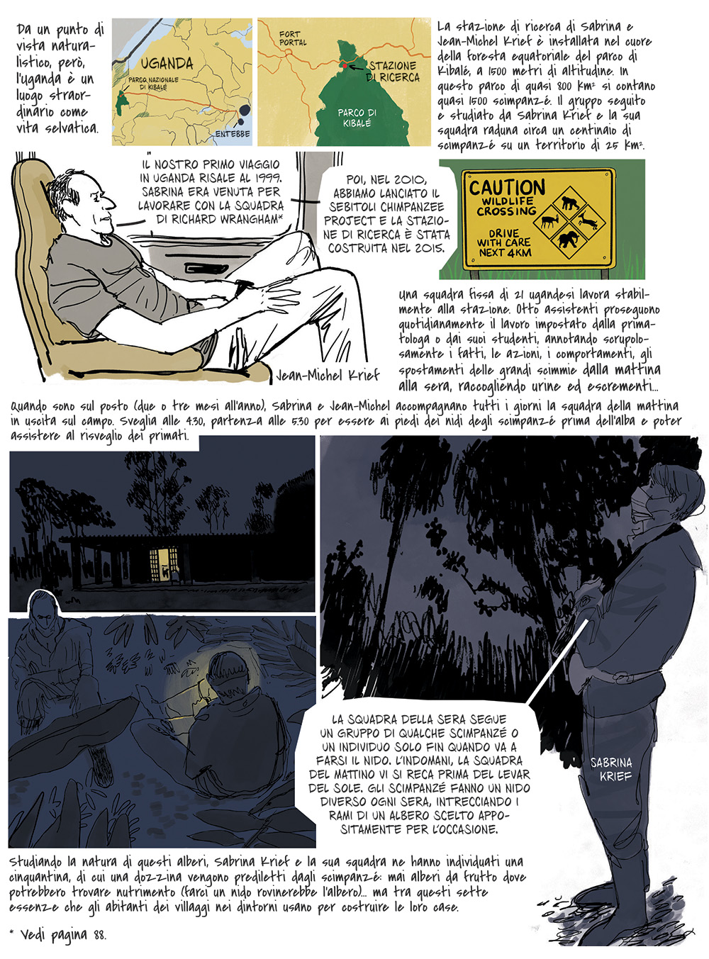 BeccoGiallo Fuori collana Scimmie fumetto brossura 188 pp