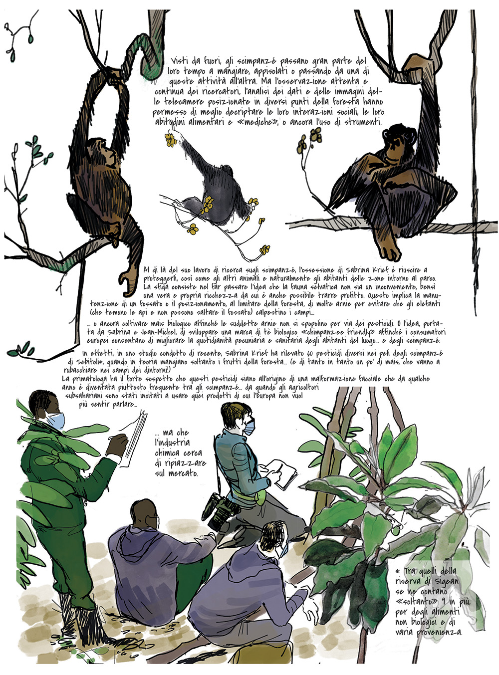BeccoGiallo Fuori collana Scimmie fumetto brossura 188 pp