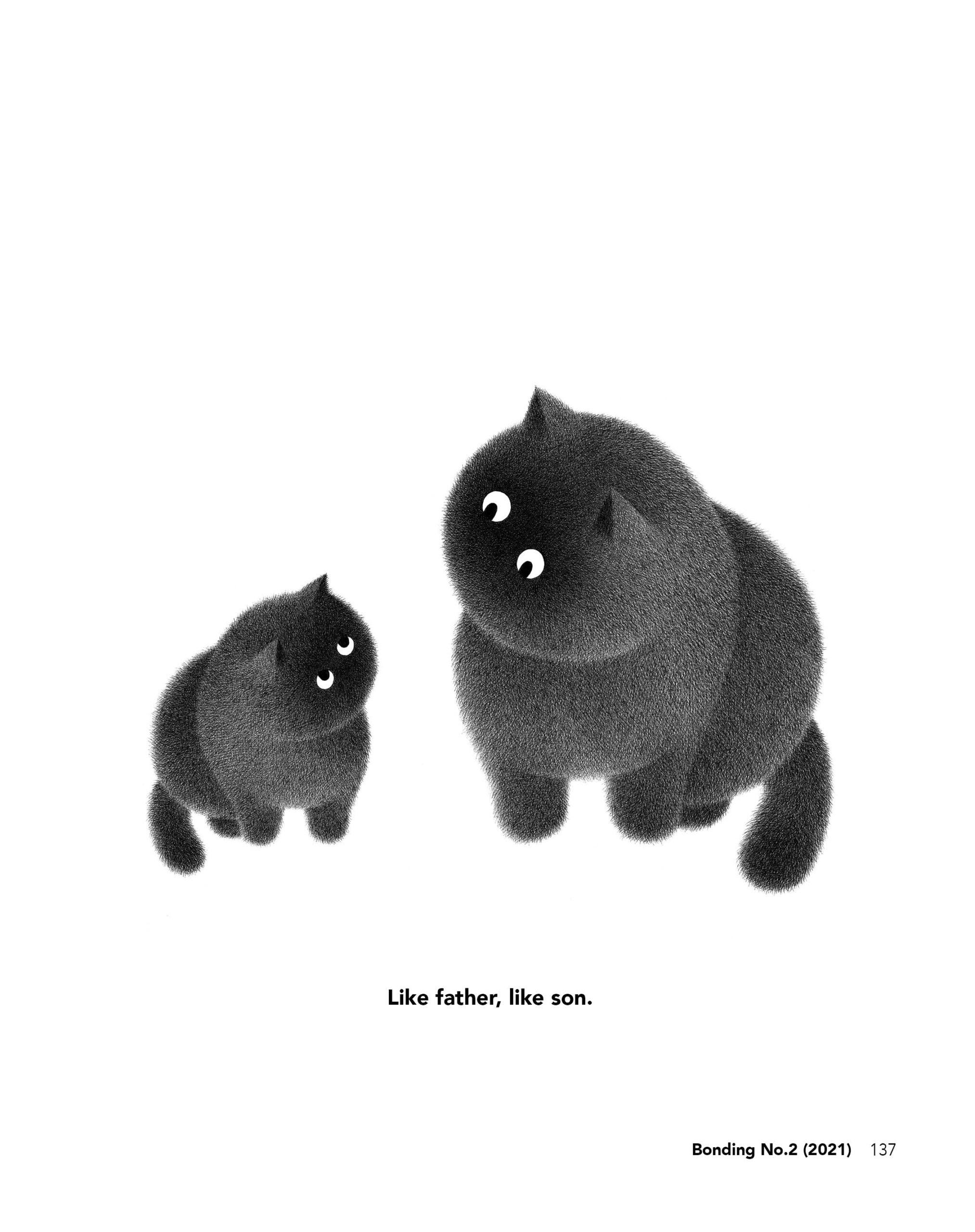 BeccoGiallo Fuori collana The Furry Thing graphic novel cartonato