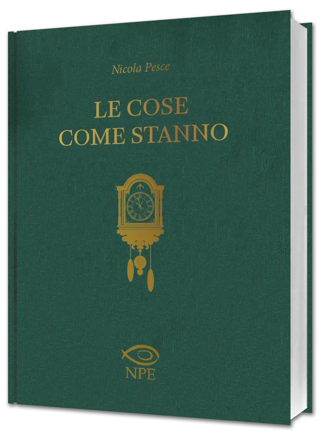 Himself Le cose come stanno fumetto brossurato NPE