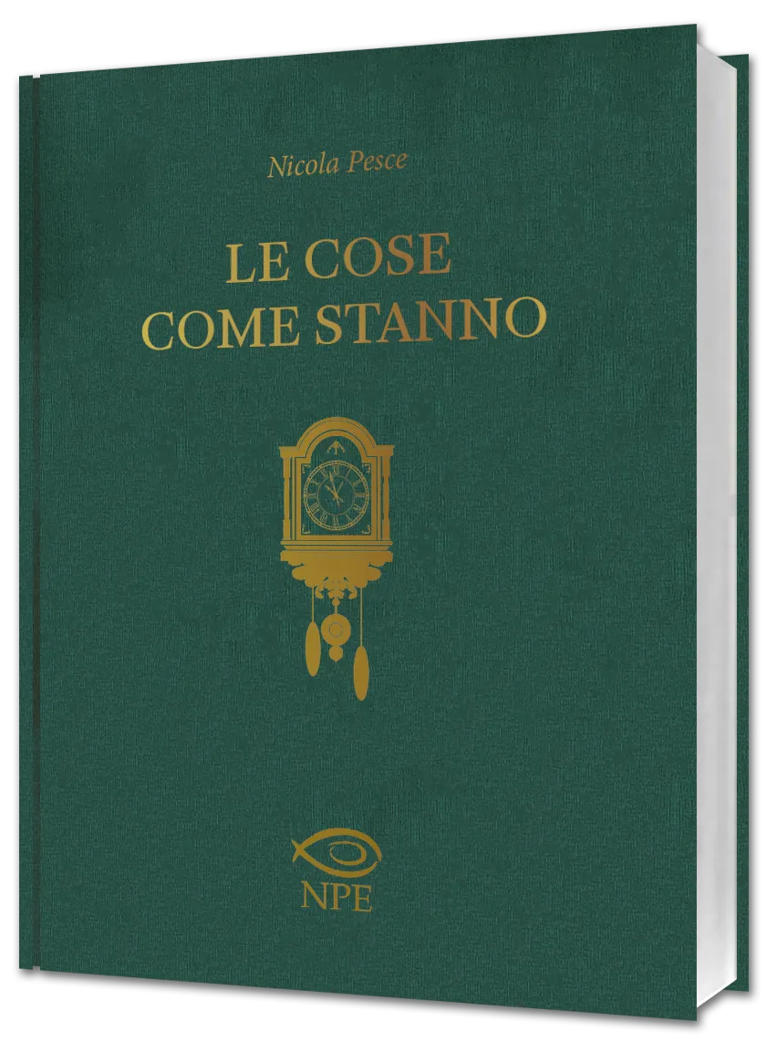 Himself Le cose come stanno fumetto brossurato NPE