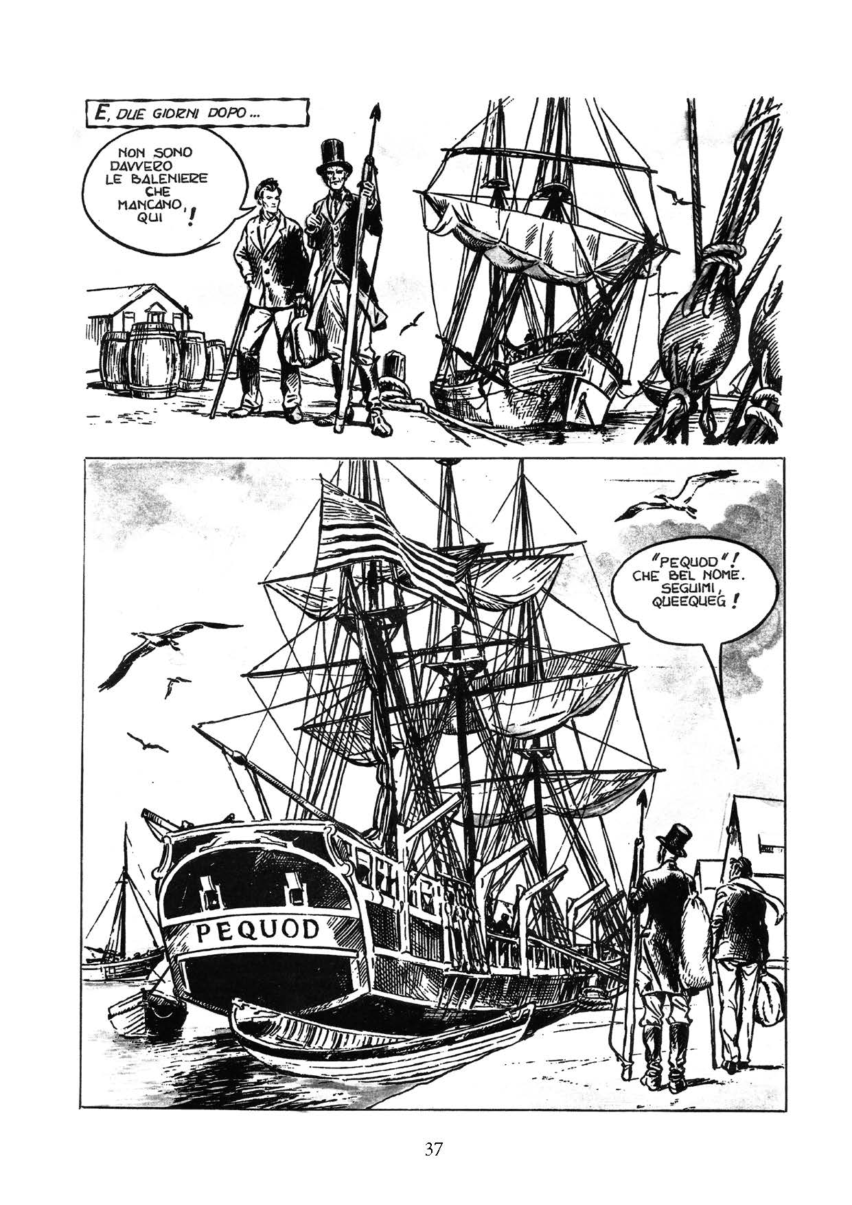 Nicola Pesce Altro Moby Dick la balena bianca fumetto classico