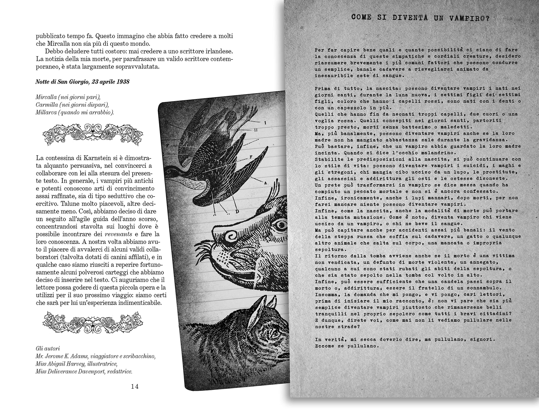 Horror Vampiri dove trovarli fumetto brossurato